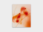 Untitled II.