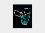 Blue panties