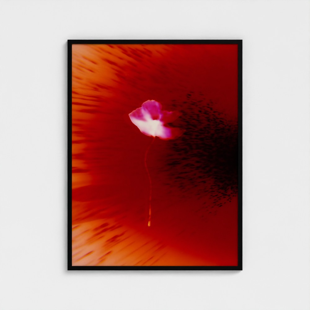 No.1