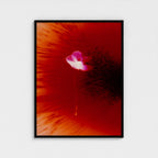 No.1