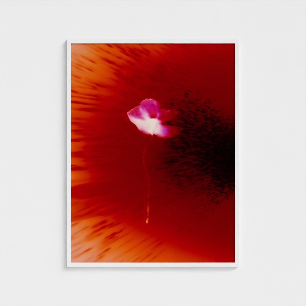 No.1